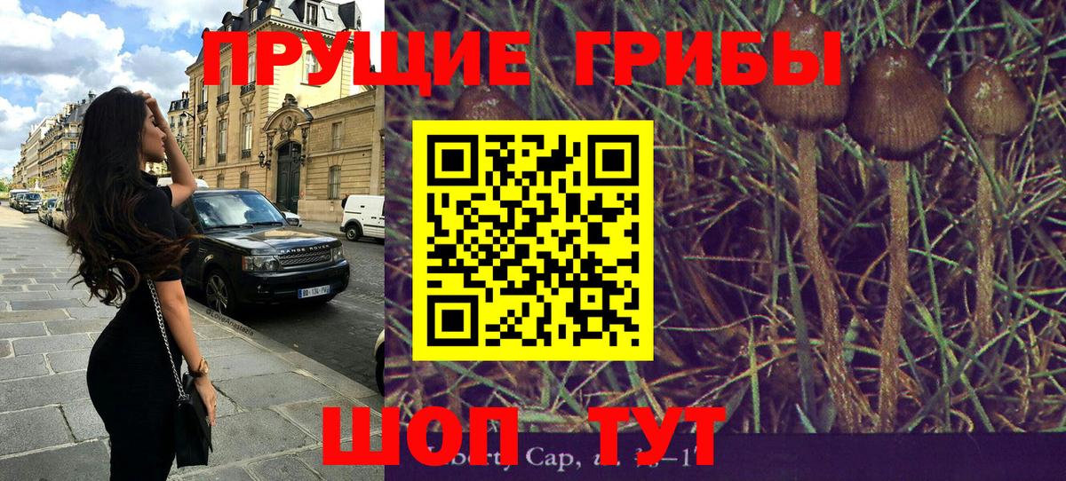 Псилоцибиновые грибы мицелий  Вход с VPN  Галлюциногенные грибы Psilocybine cubensis  Вышний Волочёк 