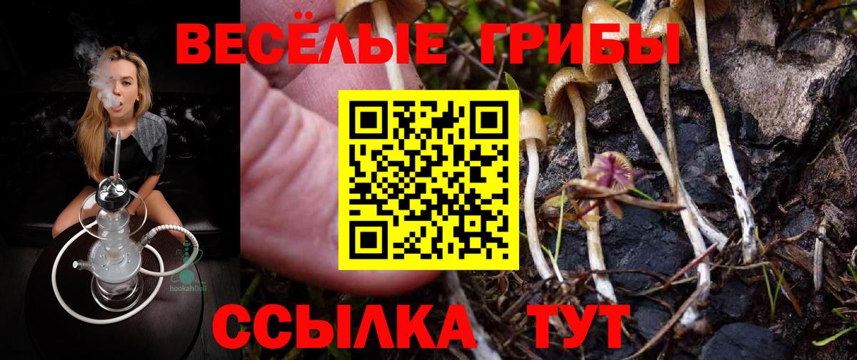 Галлюциногенные грибы Magic Shrooms Вышний Волочёк